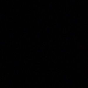 Meet your Posher, Darla